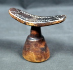 DSC00266 (436 visits) DSC00266