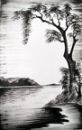 B001146 - X