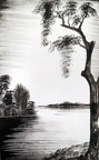 B001151 - X