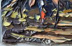 DSC01721 (2359 visits) DSC01721