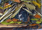 DSC01727 (2292 visits) DSC01727