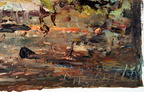 DSC01764