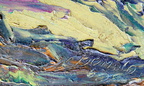 DSC01891 (2119 visits) DSC01891