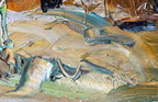 DSC01917