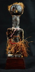 DSC07286 (1313 visits) DSC07286