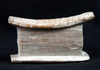 DSC00061