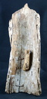 DSC04305
