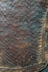 DSC07999